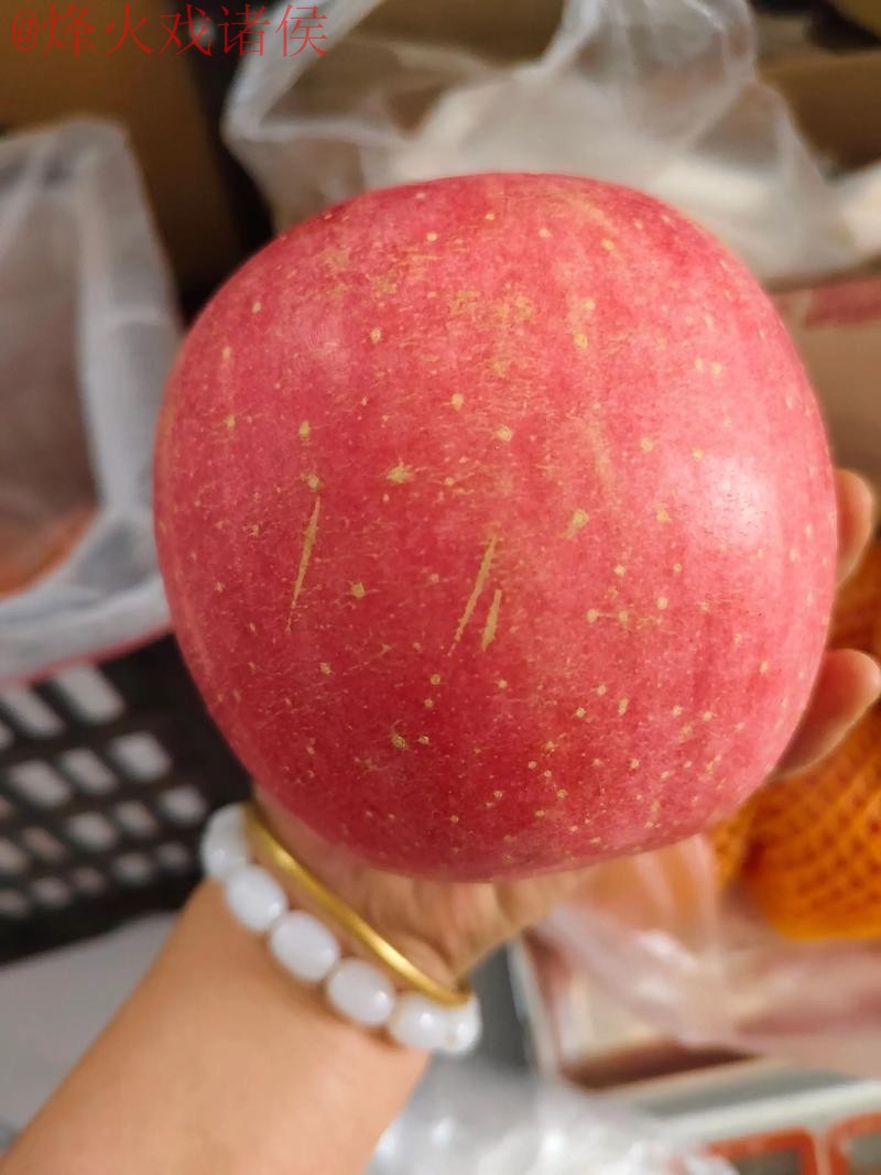 2026世界杯盘口苹果热门